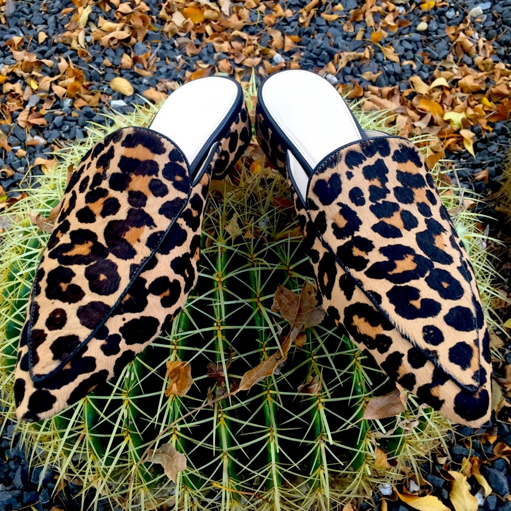 Cole Haan Piper, Leopard Calf Hair Mules Size 9.5